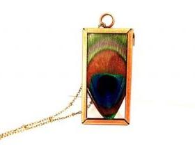 Pressed Peacock Feather Necklace