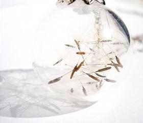 Lucky Large Wish Necklace
