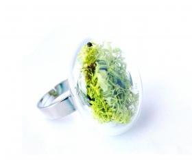 Real Dried Moss Glass ring